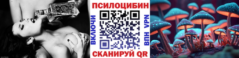 где купить наркотик Норильск Псилоцибиновые грибы мицелий