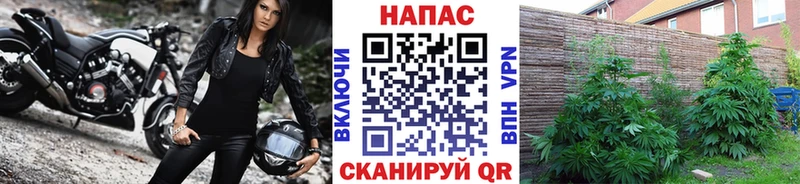 Марихуана Amnesia  Норильск 